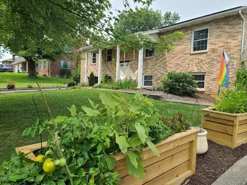 327 Morning View Ln, Bridgeport, WV 26330