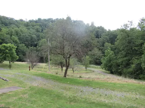 255 Murphy Rd, Wallace, WV 26448 photo 15