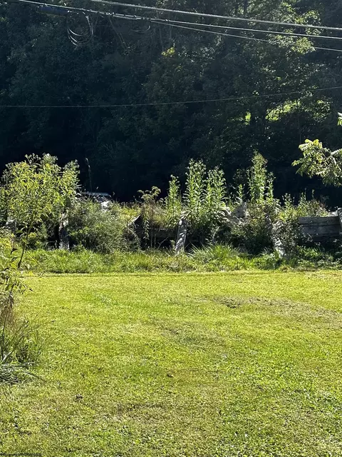 Exterior - 68 White Rd, Wallback, WV 25285 photo 6 of 13
