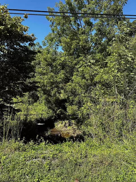 Other - 68 White Rd, Wallback, WV 25285 photo 10 of 11