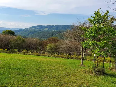 739 Roaring Plains Dr, Dryfork, WV 26263 photo 4
