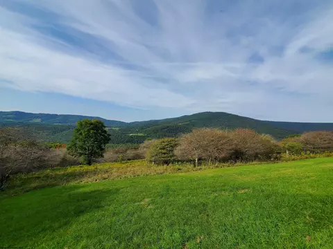739 Roaring Plains Dr, Dryfork, WV 26263 photo 13