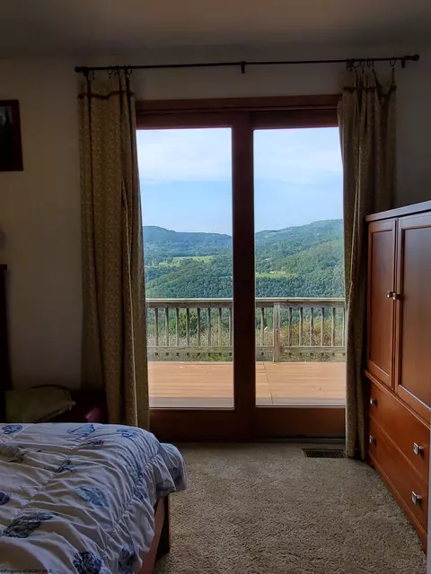 739 Roaring Plains Dr, Dryfork, WV 26263 photo 30