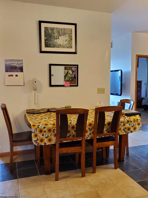 739 Roaring Plains Dr, Dryfork, WV 26263 photo 22