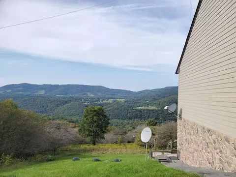 739 Roaring Plains Dr, Dryfork, WV 26263 photo 9