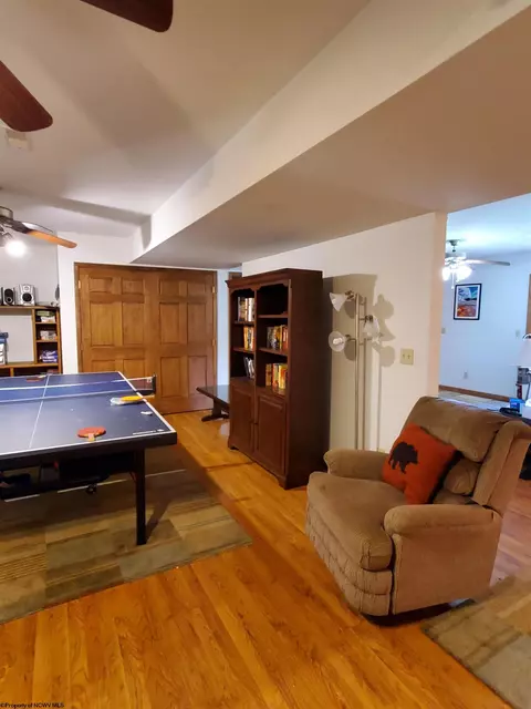 739 Roaring Plains Dr, Dryfork, WV 26263 photo 43