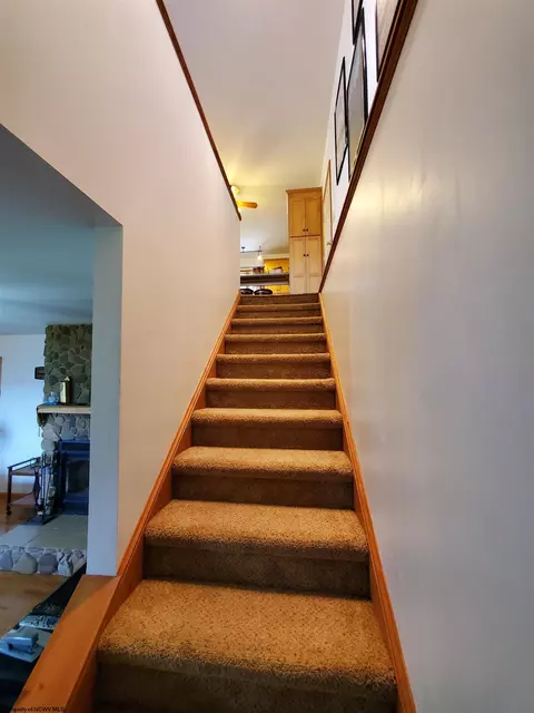 739 Roaring Plains Dr, Dryfork, WV 26263 photo 38