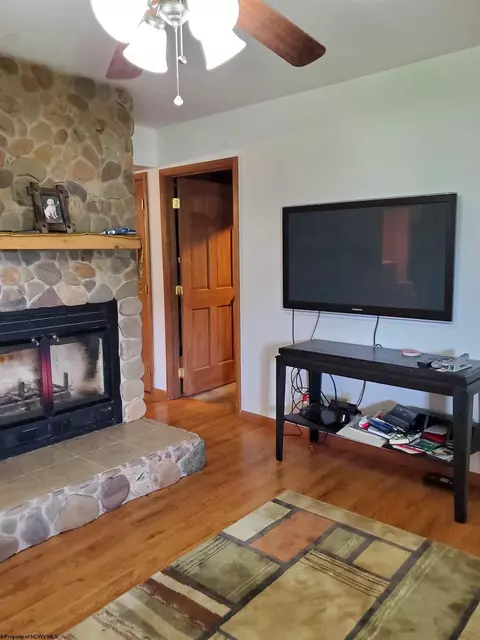 739 Roaring Plains Dr, Dryfork, WV 26263 photo 41
