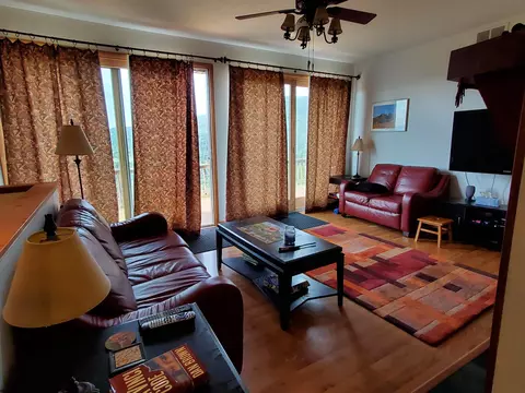 739 Roaring Plains Dr, Dryfork, WV 26263 photo 23