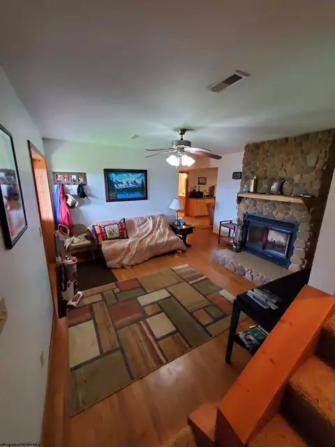 739 Roaring Plains Dr, Dryfork, WV 26263 photo 39