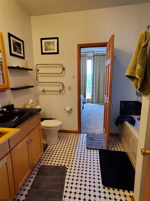 739 Roaring Plains Dr, Dryfork, WV 26263 photo 32