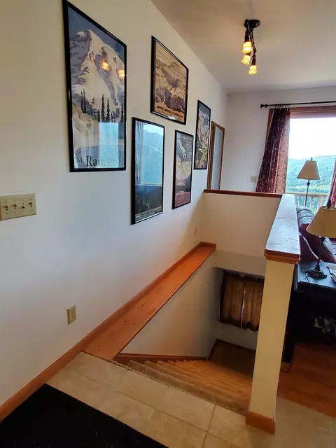 739 Roaring Plains Dr, Dryfork, WV 26263 photo 37