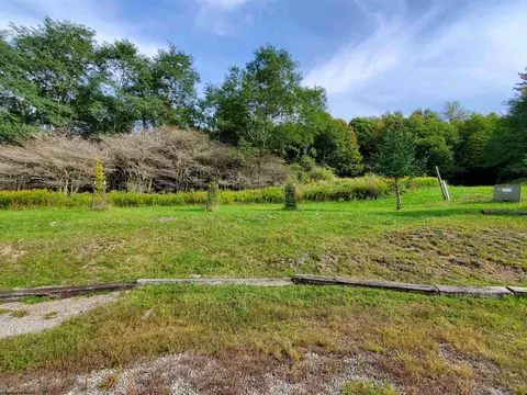 739 Roaring Plains Dr, Dryfork, WV 26263 photo 10