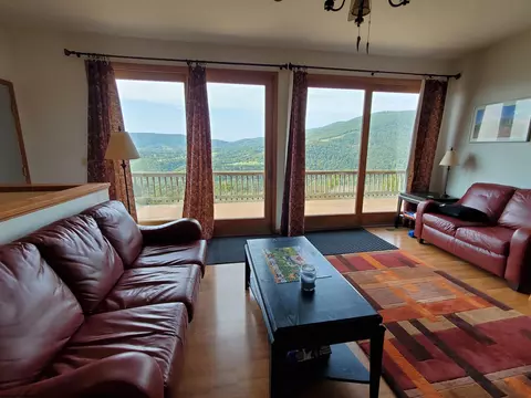 739 Roaring Plains Dr, Dryfork, WV 26263 photo 24
