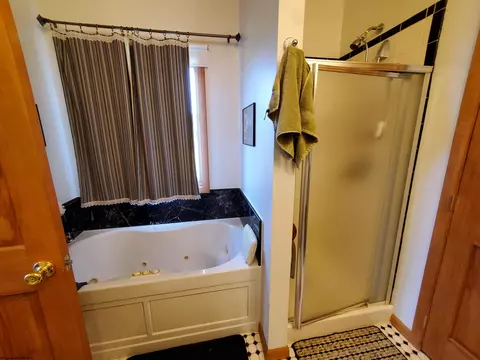 739 Roaring Plains Dr, Dryfork, WV 26263 photo 33