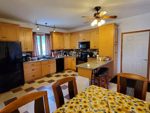 739 Roaring Plains Dr, Dryfork, WV 26263 photo 20