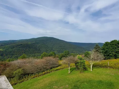 739 Roaring Plains Dr, Dryfork, WV 26263 photo 5