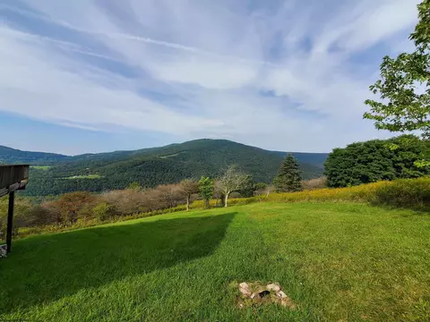 739 Roaring Plains Dr, Dryfork, WV 26263 photo 3