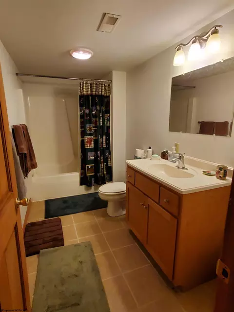 739 Roaring Plains Dr, Dryfork, WV 26263 photo 42