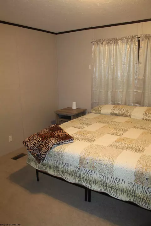 216 Echo Webb Rd, Upperglade, WV 26266 photo 7