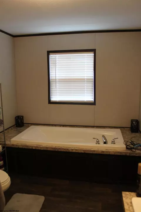 216 Echo Webb Rd, Upperglade, WV 26266 photo 8