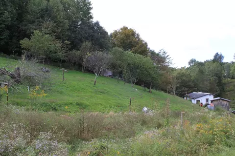 216 Echo Webb Rd, Upperglade, WV 26266 photo 18