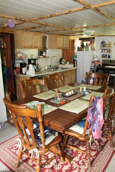 216 Echo Webb Rd, Upperglade, WV 26266 photo 20