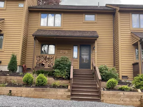 439 Deerfield Village Ct, Davis, WV 26260