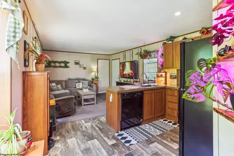 161 Douglas Rd, Thomas, WV 26292 photo 6