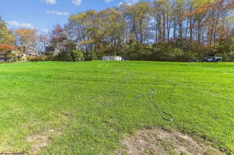 161 Douglas Rd, Thomas, WV 26292 photo 24