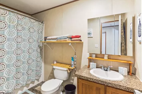 161 Douglas Rd, Thomas, WV 26292 photo 16