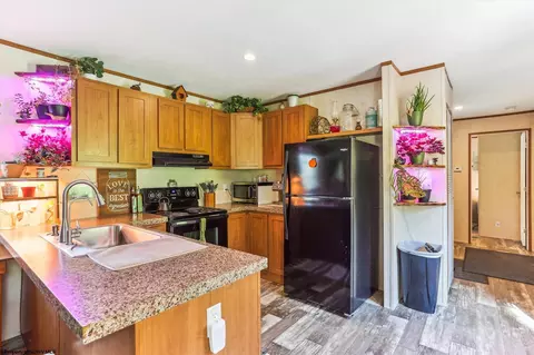 161 Douglas Rd, Thomas, WV 26292 photo 9