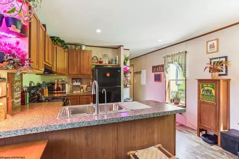 161 Douglas Rd, Thomas, WV 26292 photo 8
