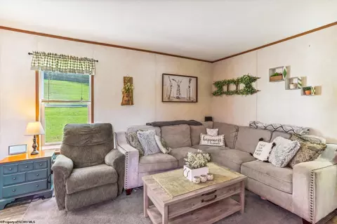 161 Douglas Rd, Thomas, WV 26292 photo 3