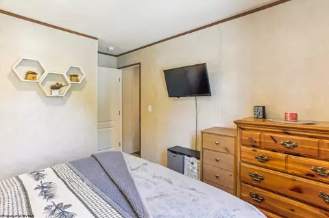 161 Douglas Rd, Thomas, WV 26292 photo 12