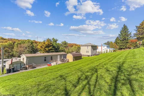 161 Douglas Rd, Thomas, WV 26292 photo 26