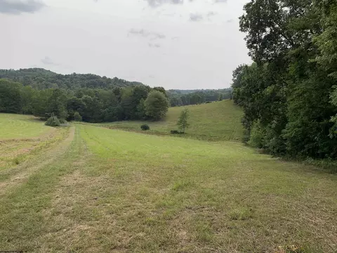 750 Whitman Run Rd, Philippi, WV 26416 photo 5