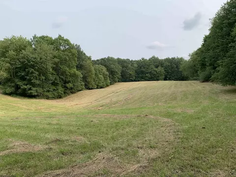 750 Whitman Run Rd, Philippi, WV 26416 photo 7