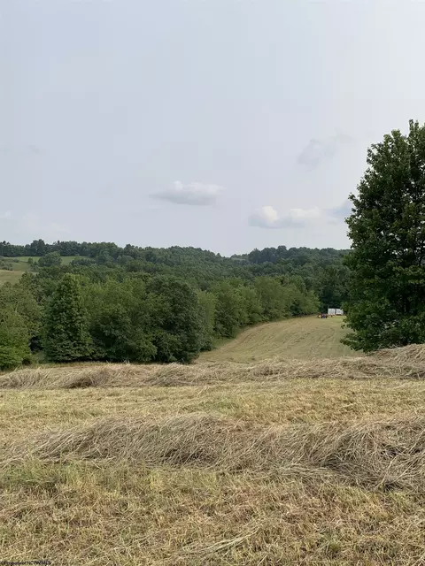 750 Whitman Run Rd, Philippi, WV 26416 photo 10