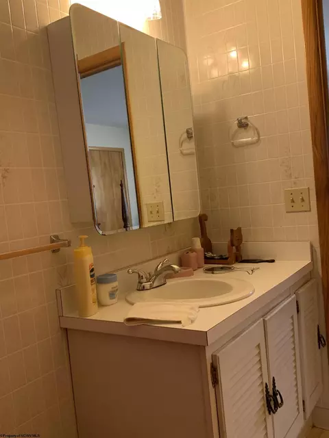 750 Whitman Run Rd, Philippi, WV 26416 photo 19