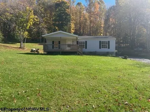 1481 Vegan Rd, Ellamore, WV 26267