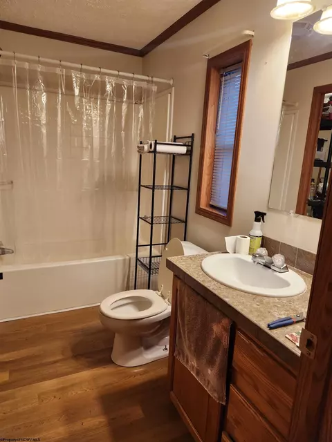 2889 Daybrook Rd, Fairview, WV 26570 photo 29