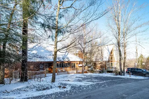 130 Brookside Rd, Davis, WV 26260 photo 40