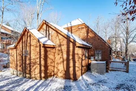 130 Brookside Rd, Davis, WV 26260 photo 38