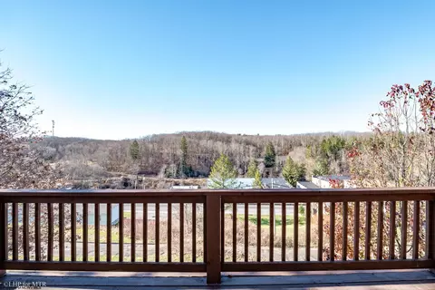 233 Brown St, Thomas, WV 26292 photo 48