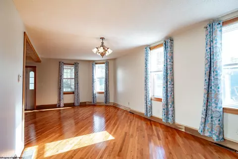 233 Brown St, Thomas, WV 26292 photo 7