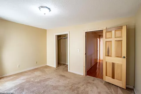 233 Brown St, Thomas, WV 26292 photo 23