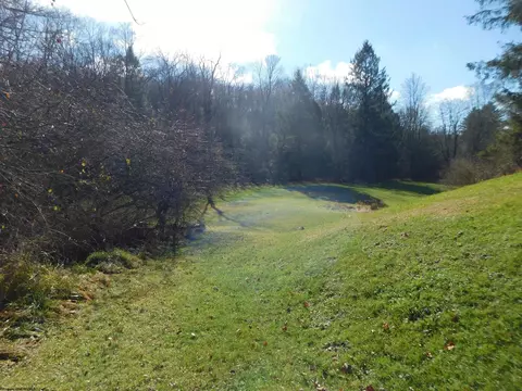 1534 Brookside Rd, Aurora, WV 26705 photo 31