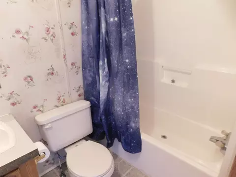 1534 Brookside Rd, Aurora, WV 26705 photo 26