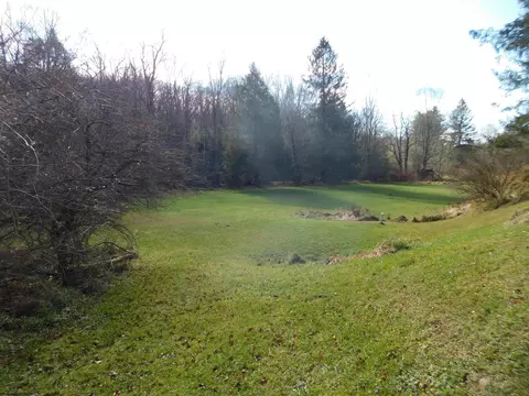 1534 Brookside Rd, Aurora, WV 26705 photo 32